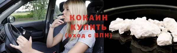 тгк Алексин